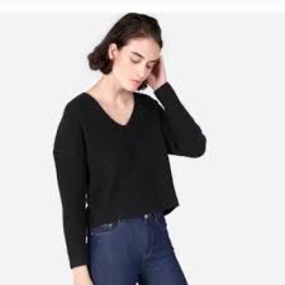 Black Everlane Cashmere/Wool Ribbed Crop V Neck Sweater